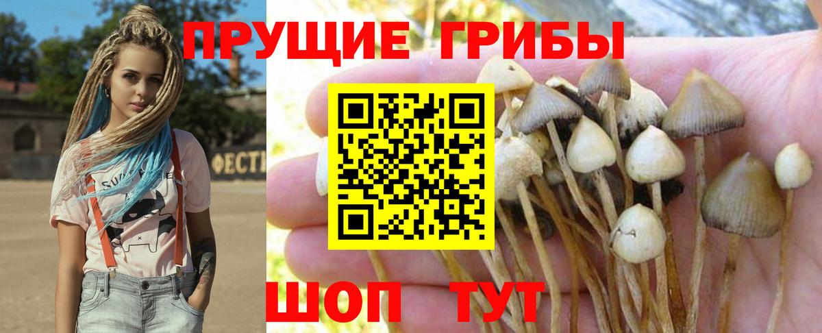 Галлюциногенные грибы Cubensis  Вход с VPN  Галлюциногенные грибы ЛСД  Ишимбай 